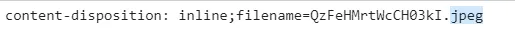 Content-Disposition